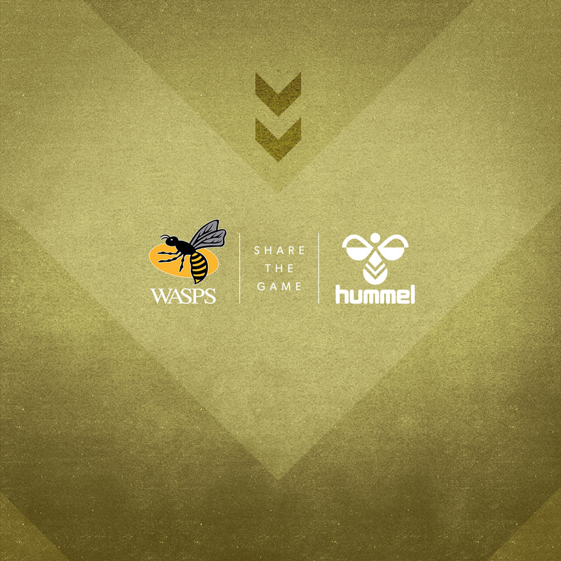 wasps-hummel(891083)