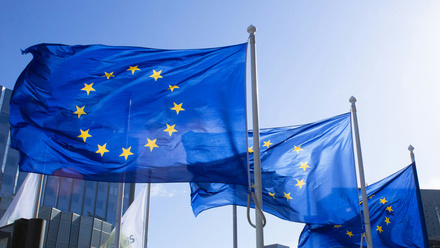 European Union flag