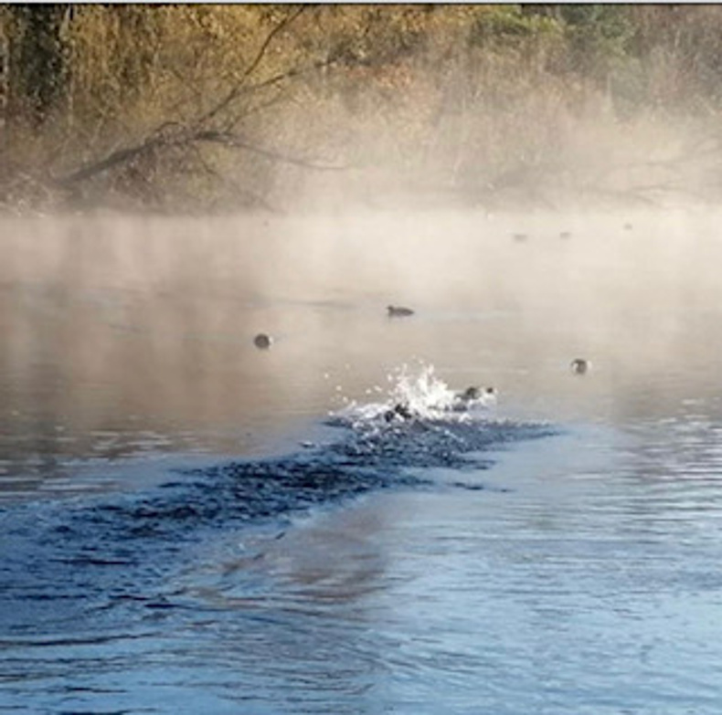 misty+waters+blog+pic.jpg