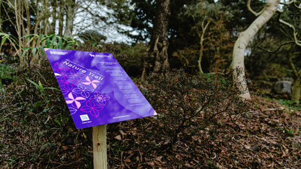 Botanical Gardens.jpg