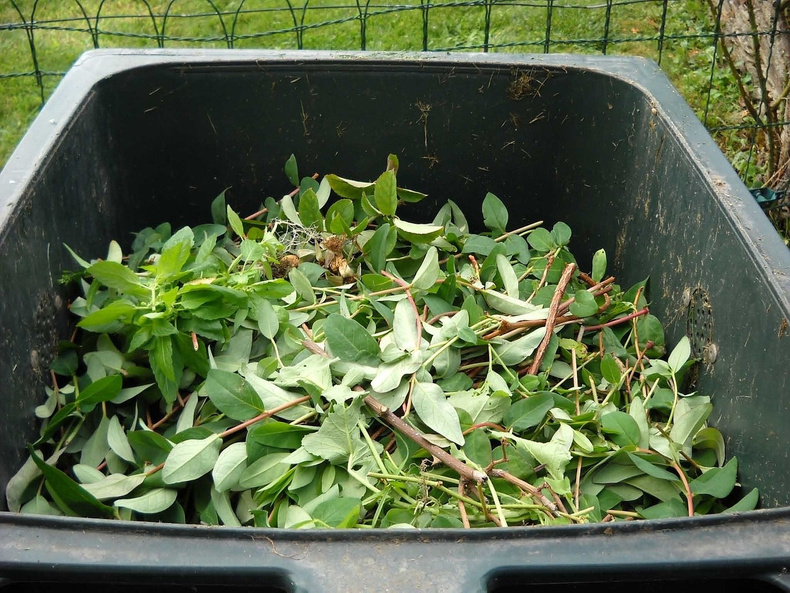 green-waste-ge042ba8fa_1280(901214)