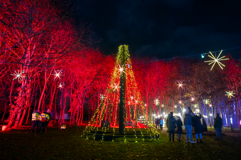 national-memorial-arboretum-illuminated-arboretum(904347)