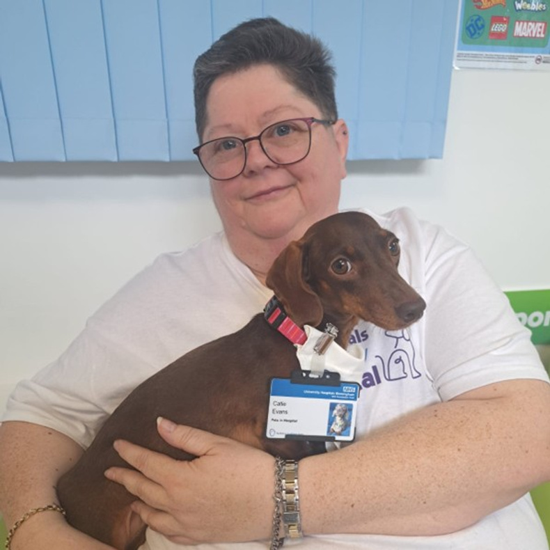pets-in-hospital.jpg