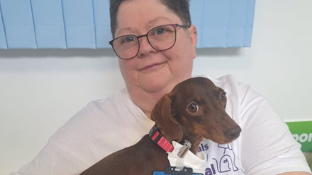 pets-in-hospital.jpg