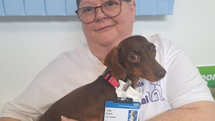 pets-in-hospital.jpg