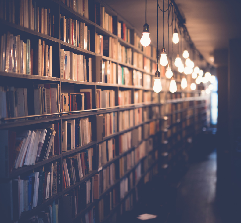 burton-library(903163)