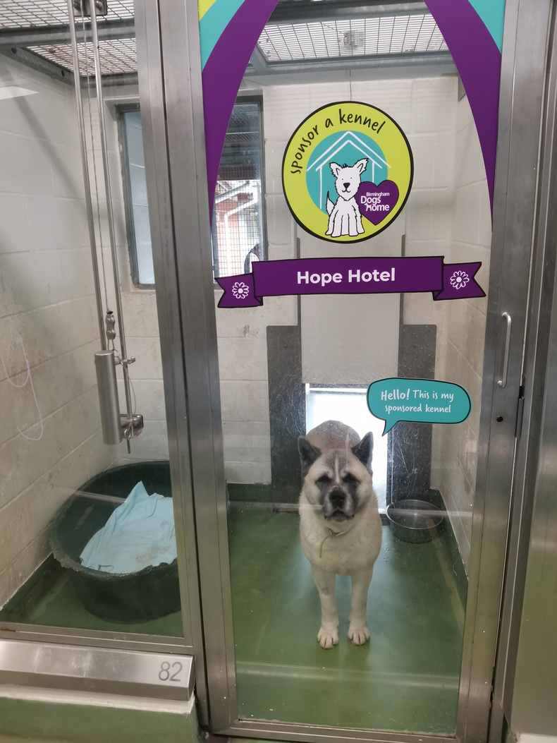 BDH_Crufts_press-release_photo.jpg