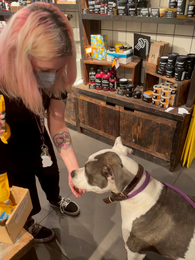 misty-the-dog-visits-lush-1-1(897494)