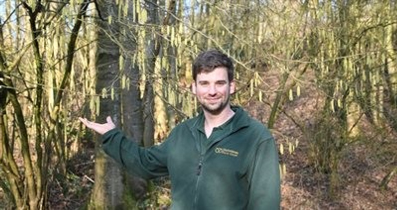 cannock-free-tress(901708)