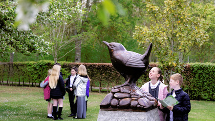 Access for learning.jpg