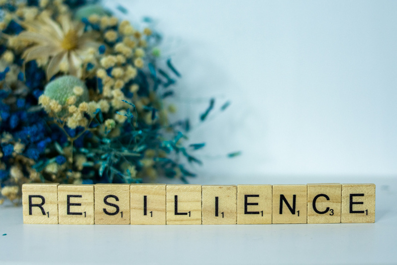 Resilience stock
