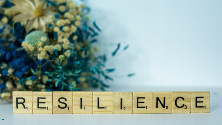 Resilience stock