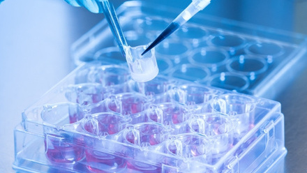 labskin web.jpg