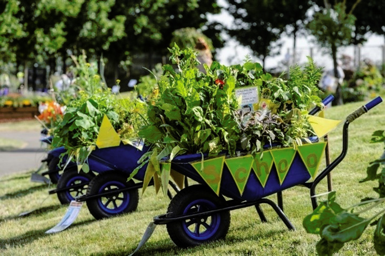 wheelbarrow competition.jpg