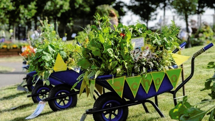 wheelbarrow competition.jpg