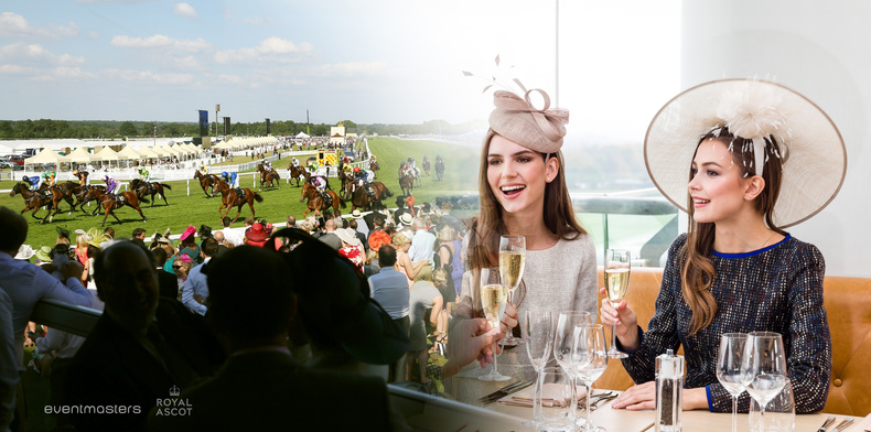 ascot-article-hd.jpg