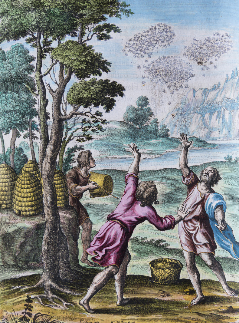 john-ogilby-the-works-of-virgil-from-lichfield-cathedral-library-collection(902750)