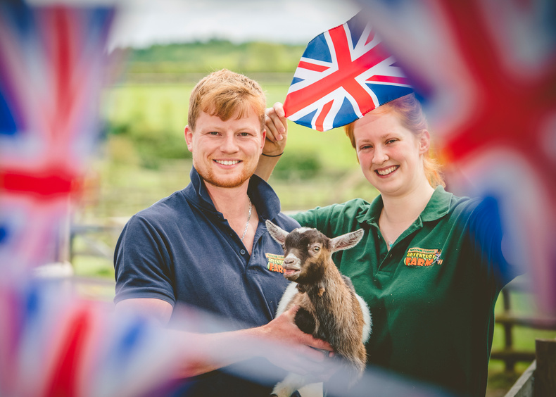 nfaf-names-baby-pygmy-goat-lizzie-in-tribute-to-the-queen-may-2022(897802)