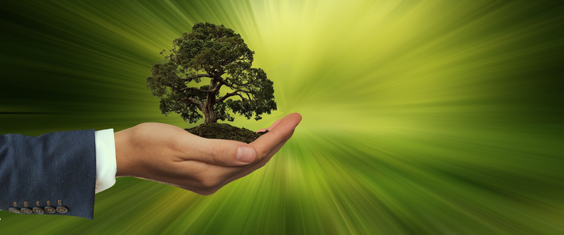 sustainability-gafe1fdddc_1920(899744)