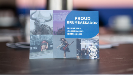 Edwin Ladd - Mr Ladd Media© _ Brumbassadors - Businesses Championing Birmingham - Sept 2025-77.jpg