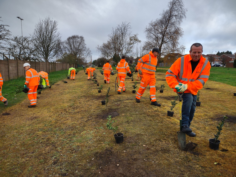 30-11-tree-planting-by-amey-volunteers(895061)