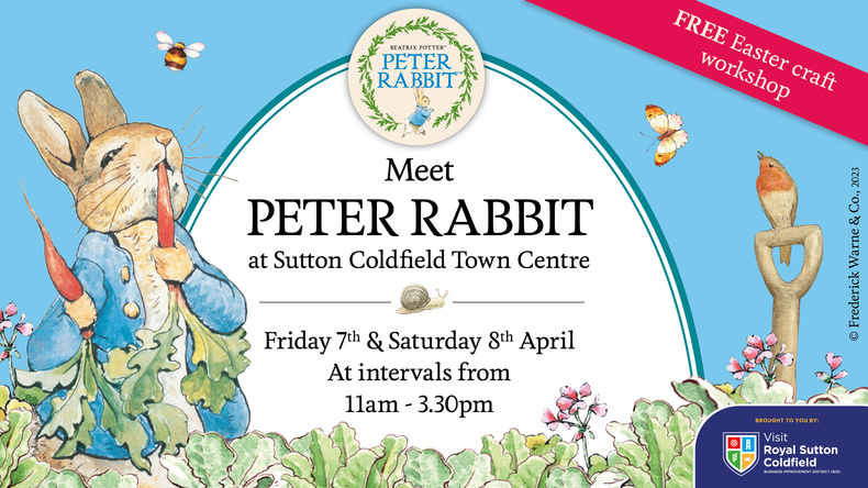 peter-rabbit-sutton-coldfield(902454)