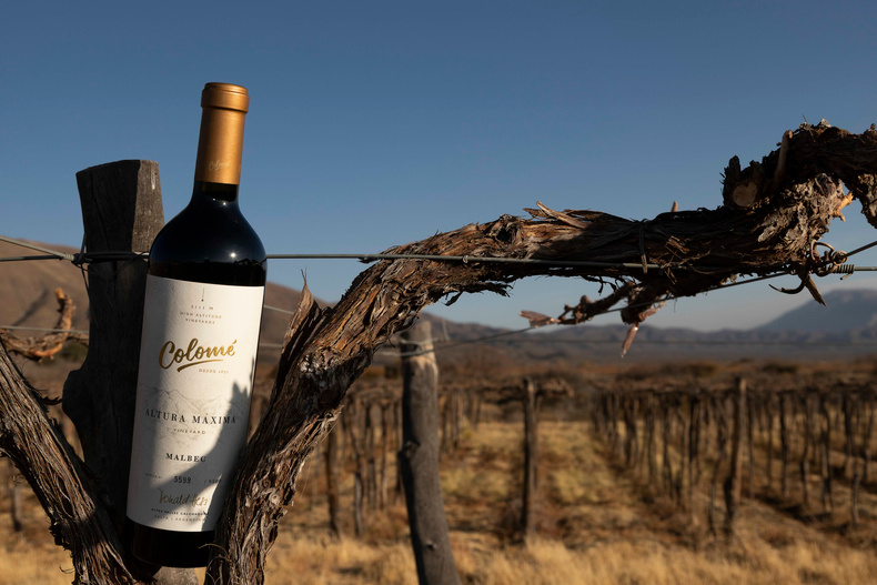 Colomé Fazenda.jpeg