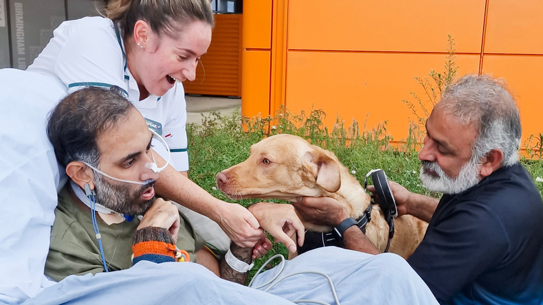 Sunny Meets Milo after 6 weeks in Critical Care.jpg