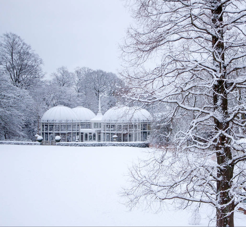 botanical-gardens(899438)
