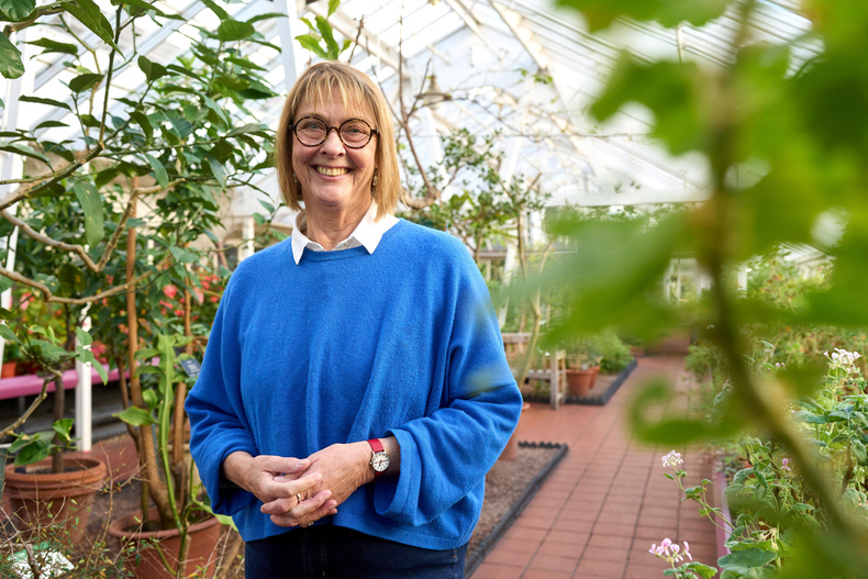 sue-beardsmore-in-one-of-the-victorian-glasshouses(896530)