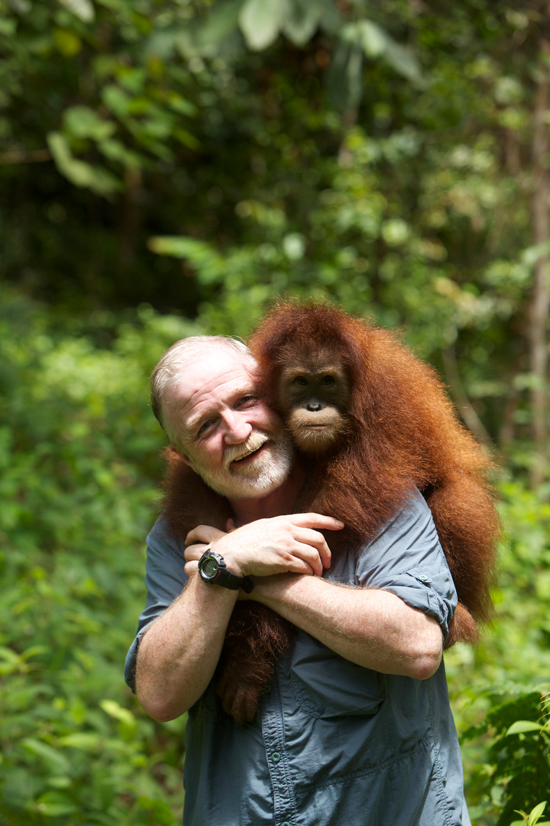 mp_orangutan_gmcgavin(901113)