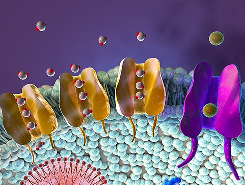 Aston membrane.jpg