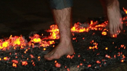 SIFA.jpg