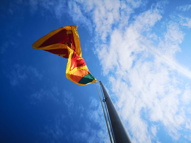 mariana-proenca-edbwbruojfq-unsplash(894889)