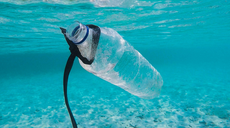 Plastic pollution