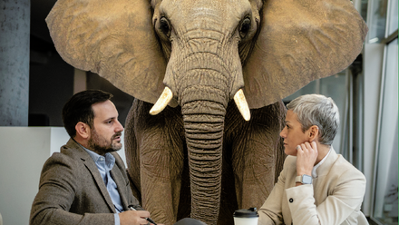 BCC partner content.png