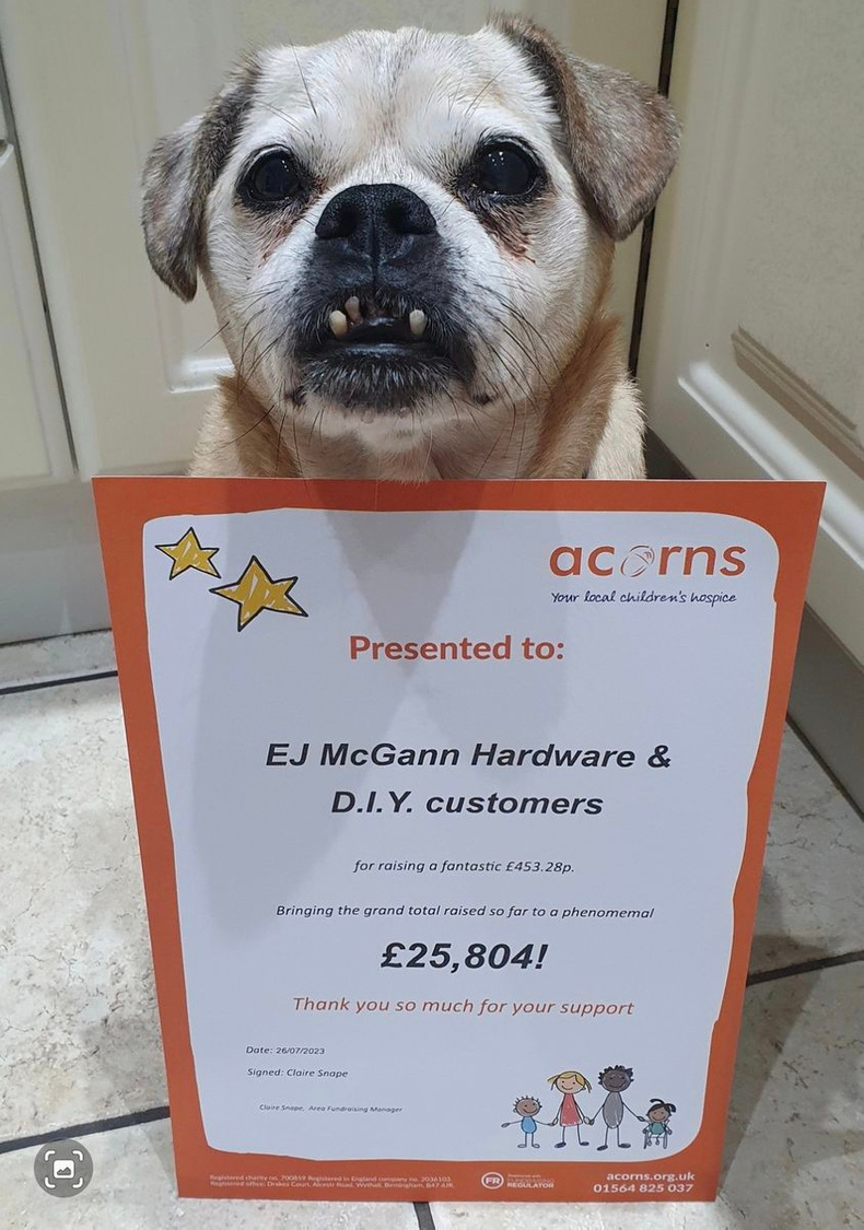 shop-mascot-rambo-with-a-certificate-presented-from-acorns(904812)