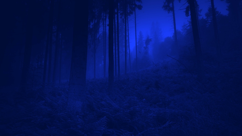 Moonlight+Marathon.png 1