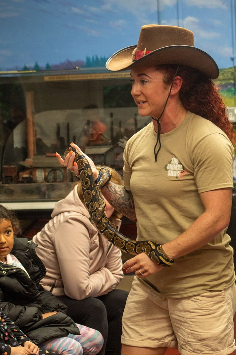 Animal Show Live.jpg 1