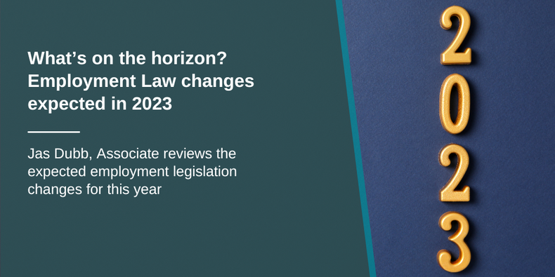 jas-dubb-associate-reviews-the-expected-employment-legislation-changes-for-this-year-chambers(901269)