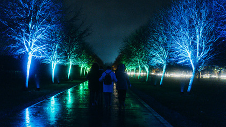 Illuminated Arboretum Rainbow Row.jpg