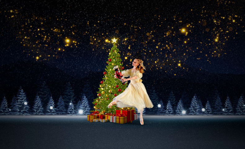 nutcracker(893284)