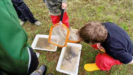 Heart of England.jpeg