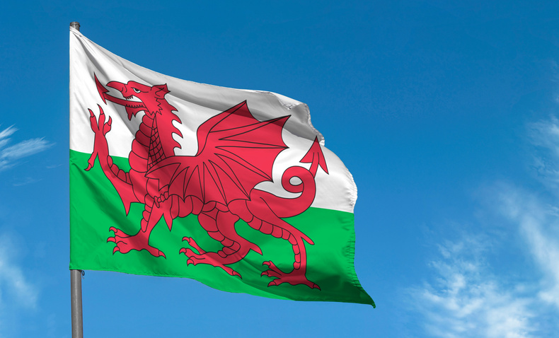 Welsh flag image.jpeg