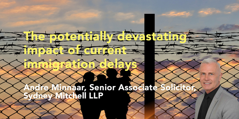 impact-of-immigration-delays-andrechamber-blog(902619)