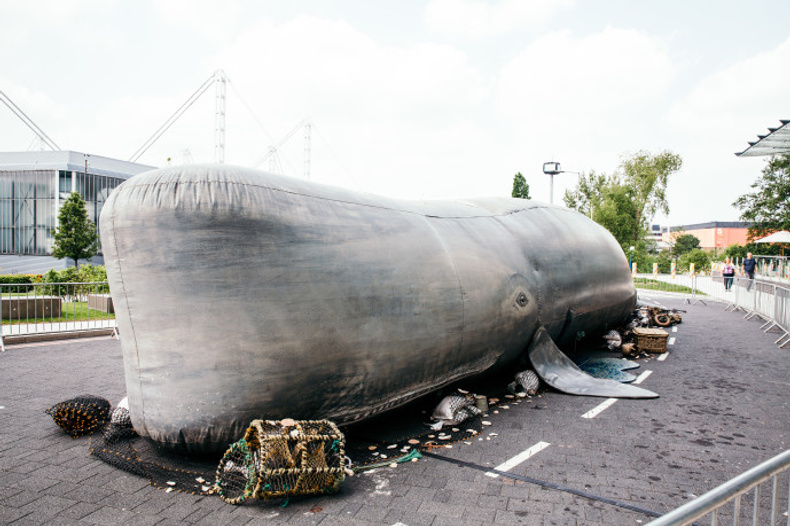 whale(904225)
