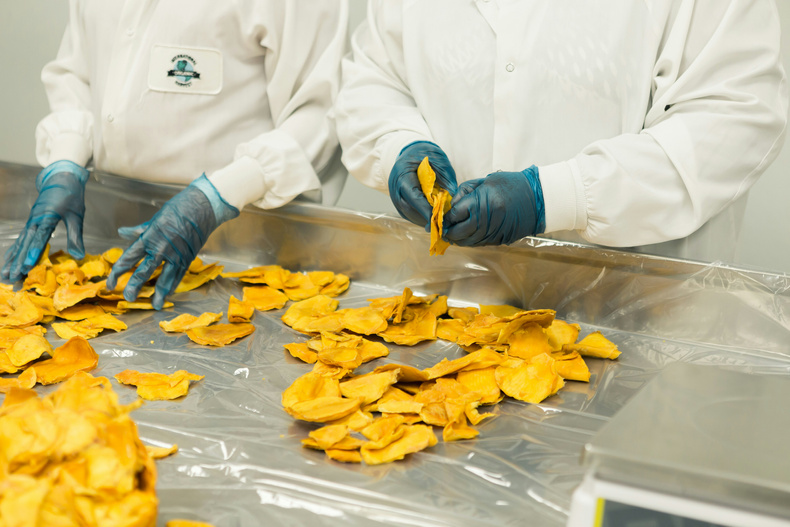 Food research stock