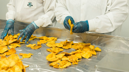 Food research stock
