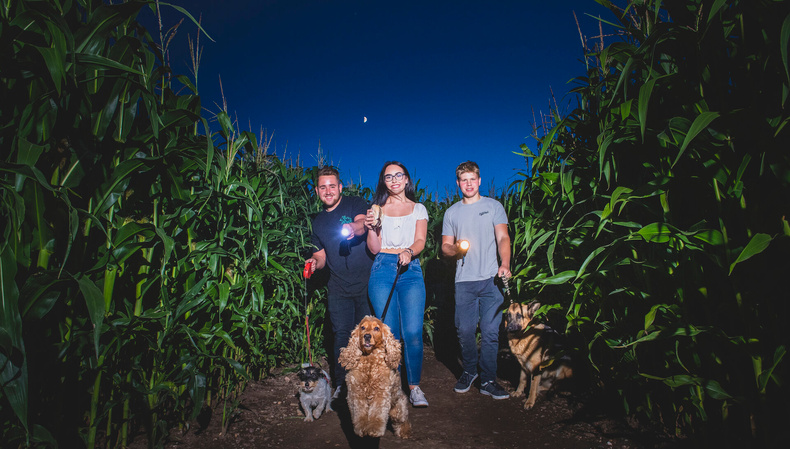 NFAF Twilight Maze 2019 (10).jpg