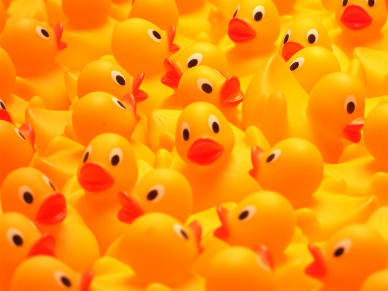 ducks-millennium-cargo(897217)